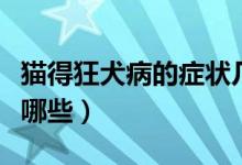 貓得狂犬病的癥狀幾率（貓得狂犬病的癥狀有哪些）