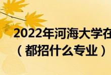 2022年河海大學(xué)在湖南招生計劃及招生人數(shù)（都招什么專業(yè)）