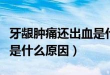 牙齦腫痛還出血是什么原因（牙齦腫痛還出血是什么原因）