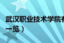 武漢職業(yè)技術(shù)學(xué)院有哪些專業(yè)（院校開設(shè)專業(yè)一覽）