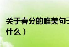 關(guān)于春分的唯美句子（關(guān)于春分的唯美句子有什么）