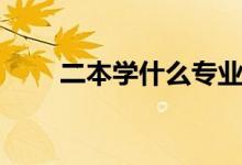 二本學(xué)什么專業(yè)好（怎么選擇專業(yè)）