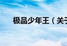 極品少年王（關于極品少年王的介紹）