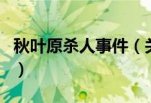 秋葉原殺人事件（關(guān)于秋葉原殺人事件的介紹）