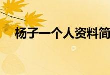 楊子一個(gè)人資料簡介（楊子一個(gè)人簡介）
