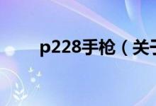 p228手槍（關(guān)于p228手槍的介紹）