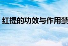 紅提的功效與作用禁忌（紅提的功效與作用）
