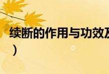 續(xù)斷的作用與功效及用量（續(xù)斷的作用與功效）