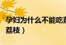 孕婦為什么不能吃荔枝（孕婦為什么不可以吃荔枝）