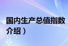 國內(nèi)生產(chǎn)總值指數(shù)（關(guān)于國內(nèi)生產(chǎn)總值指數(shù)的介紹）