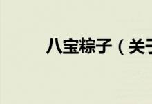 八寶粽子（關(guān)于八寶粽子的介紹）