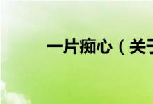 一片癡心（關于一片癡心的介紹）