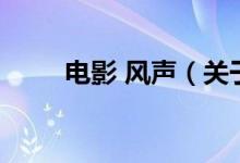 電影 風(fēng)聲（關(guān)于電影 風(fēng)聲的介紹）