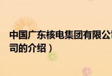 中國廣東核電集團有限公司（關(guān)于中國廣東核電集團有限公司的介紹）