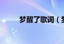 夢醒了歌詞（夢醒了歌詞是什么）