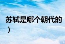 蘇軾是哪個(gè)朝代的(蘇軾最著名的詩(shī)詞有哪些)