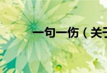一句一傷（關(guān)于一句一傷的介紹）