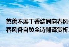 芭蕉不展丁香結同向春風各自愁解釋（芭蕉不展丁香結同向春風各自愁全詩翻譯賞析及作者出處）