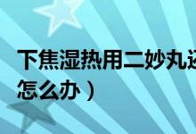 下焦?jié)駸嵊枚钔柽€是龍膽瀉肝丸（下焦?jié)駸嵩趺崔k）