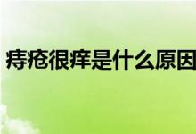 痔瘡很癢是什么原因（痔瘡很癢是什么原因）