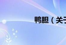 鴨膽（關(guān)于鴨膽的介紹）