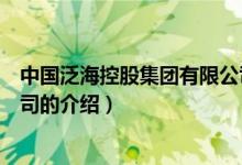中國泛?？毓杉瘓F有限公司（關于中國泛?？毓杉瘓F有限公司的介紹）