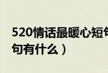520情話最暖心短句告白（520情話最暖心短句有什么）