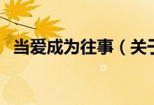 當(dāng)愛(ài)成為往事（關(guān)于當(dāng)愛(ài)成為往事的介紹）