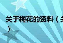 關于梅花的資料（關于關于梅花的資料的介紹）
