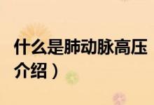 什么是肺動脈高壓（關于什么是肺動脈高壓的介紹）