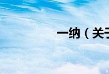 一納（關于一納的介紹）