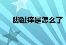 腳趾癢是怎么了（腳趾癢是怎么回事）