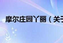 摩爾莊園丫麗（關(guān)于摩爾莊園丫麗的介紹）