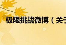 極限挑戰(zhàn)微博（關(guān)于極限挑戰(zhàn)微博的介紹）