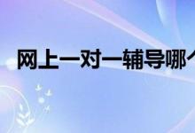 網(wǎng)上一對(duì)一輔導(dǎo)哪個(gè)平臺(tái)靠譜（怎么選擇）