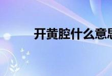 開黃腔什么意思（開黃腔什么梗）