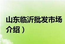 山東臨沂批發(fā)市場（關于山東臨沂批發(fā)市場的介紹）