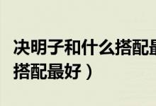 決明子和什么搭配最好降血壓（決明子和什么搭配最好）