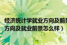 經(jīng)濟(jì)統(tǒng)計(jì)學(xué)就業(yè)方向及前景分析(2022經(jīng)濟(jì)統(tǒng)計(jì)學(xué)專(zhuān)業(yè)就業(yè)方向及就業(yè)前景怎么樣)