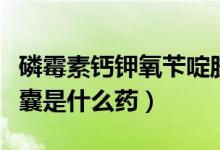 磷霉素鈣鉀氧芐啶膠囊（磷霉素鈣甲氧芐啶膠囊是什么藥）