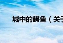 城中的鱷魚（關(guān)于城中的鱷魚的介紹）