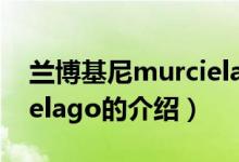 蘭博基尼murcielago（關(guān)于蘭博基尼murcielago的介紹）
