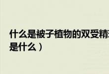 什么是被子植物的雙受精現(xiàn)象（被子植物的雙受精現(xiàn)象指的是什么）