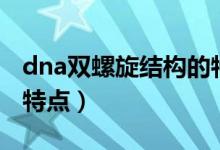 dna雙螺旋結(jié)構(gòu)的特點(diǎn)是（dna雙螺旋結(jié)構(gòu)的特點(diǎn)）