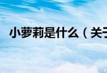 小蘿莉是什么（關(guān)于小蘿莉是什么的介紹）