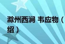 滁州西澗 韋應(yīng)物（關(guān)于滁州西澗 韋應(yīng)物的介紹）