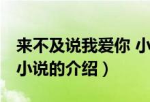 來不及說我愛你 小說（關(guān)于來不及說我愛你 小說的介紹）