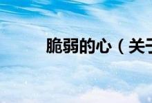 脆弱的心（關(guān)于脆弱的心的介紹）