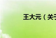王大元（關(guān)于王大元的介紹）