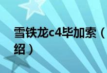 雪鐵龍c4畢加索（關(guān)于雪鐵龍c4畢加索的介紹）
